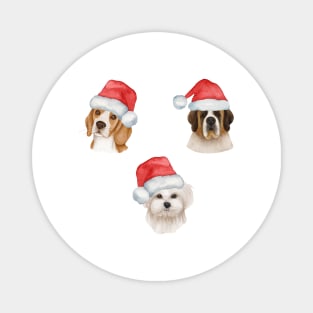 Cute And Lovely Animals With Christmas Magnet